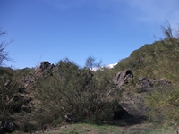 anobello-01042012 098